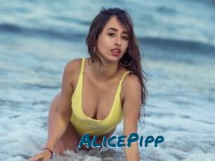 AlicePipp
