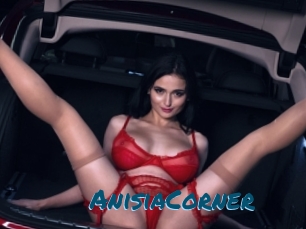 AnisiaCorner