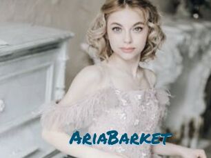 AriaBarket