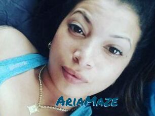 Aria_Maze