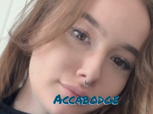 Accabodge