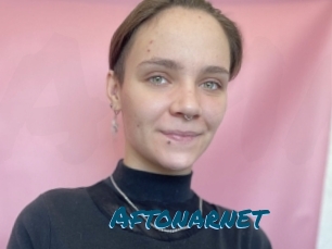 Aftonarnet