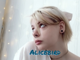 Alicebird
