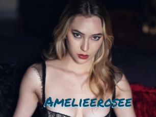 Amelieerosee