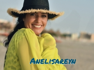 Anelisareyn