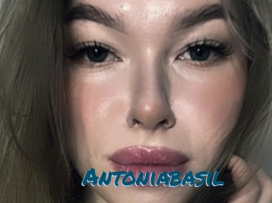 Antoniabasil