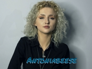 Antoniabeese