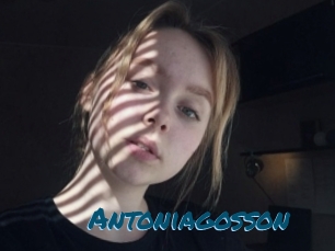 Antoniagosson