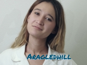 Aragledhill