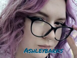 Ashleybarks