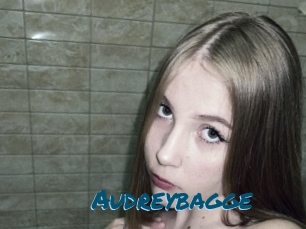 Audreybagge