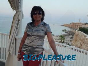 BIGPLEASURE