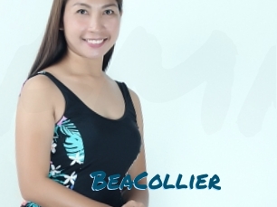 BeaCollier Amateur Voisine