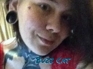Buzz_Cat