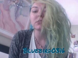 Bluebird0316