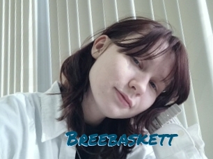Breebaskett