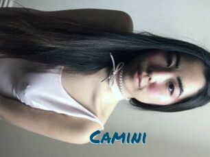 camini Amateur Voisine