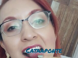 Cataaponte