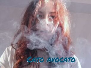 Cato_avocato
