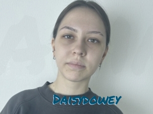 Daisydowey