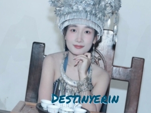 Destinyerin
