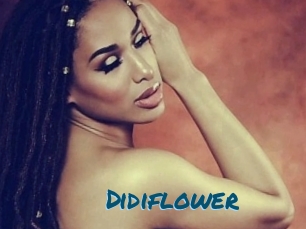 Didiflower