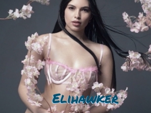Elihawker