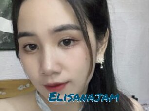 Elisanajam