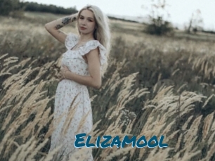 Elizamool