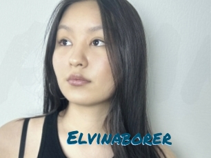 Elvinaborer