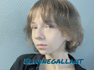 Elwinegallant