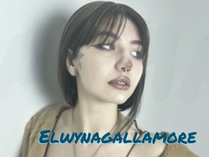 Elwynagallamore