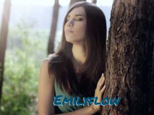 Emilyflow
