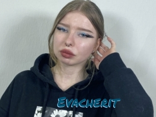Evacherit