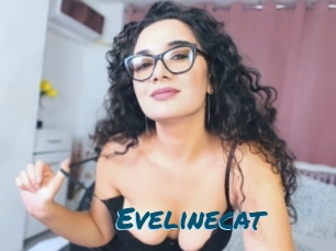 Evelinecat