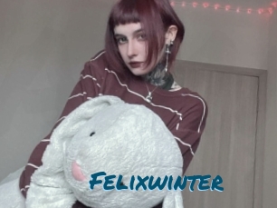 Felixwinter