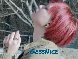 GessNice