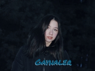 Gayhaler