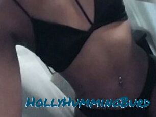Holly_HummingBurd