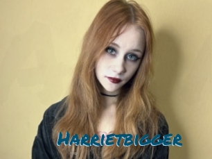 Harrietbigger