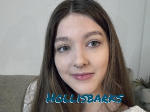 Hollisbarks