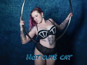 Hot_cute_cat