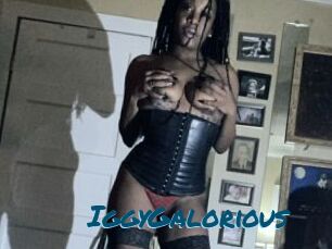IggyGalorious