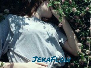 JekaFlow