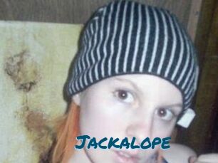 Jackalope