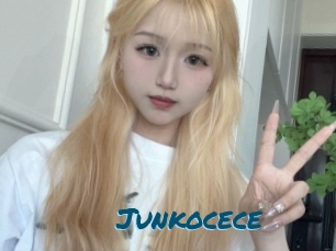 Junkocece