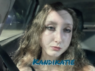 Kandikatie