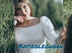 Katiegleghorn