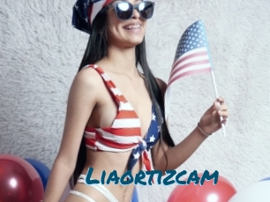 Liaortizcam