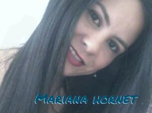 Mariana_hornet
